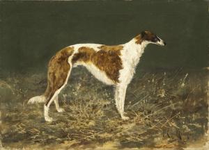 VON MEYER G.K,Greyhound,Russian Seasons RU 2012-11-23