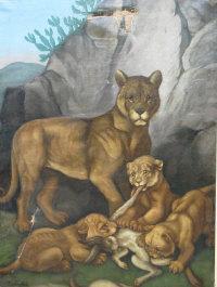 von PINKAS Hippolyt 1827-1901,Cougar with cubs devouring rabbit prey at,1891,Moore Allen & Innocent 2012-10-26