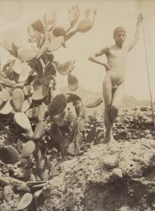 VON PLUSCHOW WILHEM 1852-1930,Untiltled (Male nude), ca. 1900,1900,Bloomsbury Roma IT 2012-05-21