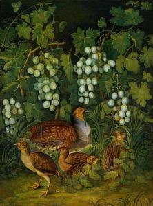 von PURGAU Franz Michael,A guinea fowl and its chick among vines,Palais Dorotheum 2013-10-15