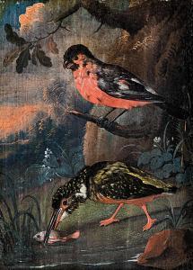 von PURGAU Franz Michael 1677-1751,Fishing kingfisher and robin,1730,Nagyhazi galeria HU 2019-05-28