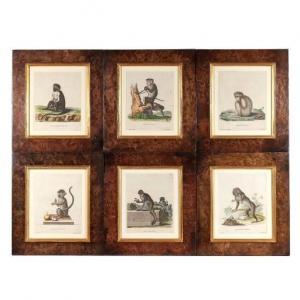 Von Schreber JOHANN CHRISTIAN DANIEL,MONKEYS:,18th century,Butterscotch Auction Gallery 2022-03-20