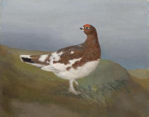 von WRIGHT Ferdinand Wilhelm 1822-1906,A grouse,Christie's GB 2019-12-12