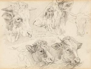 VON ZUGEL Heinrich Johann 1850-1941,Studies of a Bull's Head,1869,Lempertz DE 2018-05-16