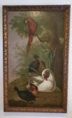 VONCK Jacobus,Macaw perched in tree with a Moorhen and Ducks in a landscape,Slawinski US 2022-09-20
