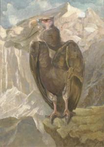 VRIES de Jan 1900-1900,Eagle,Christie's GB 2006-01-10