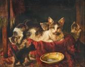 WÜRZ Hermann 1836-1899,A Mother Cat with Kittens in a Basket,Palais Dorotheum AT 2023-12-12