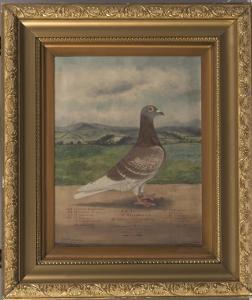 Wadsworth Charles,Portrait of the Racing Pigeon "Re,1912,Hartleys Auctioneers and Valuers 2018-11-28
