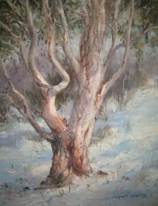 WAITE Allan 1924-2010,A scribbly gum near Adaminaby,Vickers & Hoad GB 2009-09-27