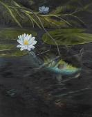 WALKER Charles J 1800-1800,Largemouth Bass in Water Lilies,1987,Burchard US 2016-12-11