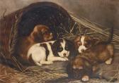 WALLER Lucy 1856-1908,Puppies,Christie's GB 2003-06-12