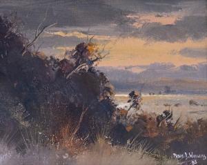 WALLERS Peter J. 1953,Sunset, Coromandel,International Art Centre NZ 2017-02-21