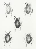 WALLINGER Mark 1959,King Edward and the Colorado Beetle, from 'Bugs: A,2000,Bonhams GB 2019-05-02
