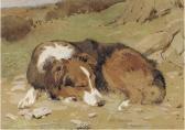 WALLS William 1860-1942,A sleeping collie,1909,Christie's GB 2005-06-12