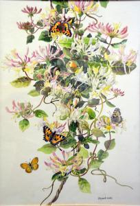 WALSH Elizabeth Morse 1900-1900,Tortoiseshell butterflies on honeysuc,Fieldings Auctioneers Limited 2014-11-15