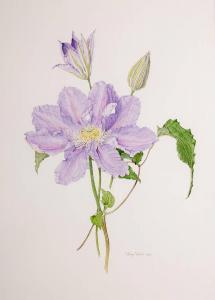 WALSH Wendy F. 1915-2014,CLEMATIS,,1996,Whyte's IE 2023-07-10