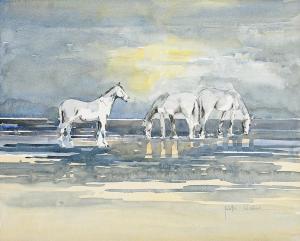 WALSHE Judith Caulfield 1900-1900,The Watering Hole,Morgan O'Driscoll IE 2019-11-25