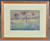 walters ann m,Spring daffodils and tulips in an orchard setting ,Tring Market Auctions 2009-09-25