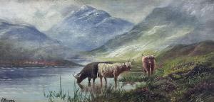 WALTERS F.,Highland Cattle,David Duggleby Limited GB 2023-09-30