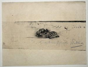 WALTNER Charles Albert 1846-1925,Deux tortues,1897,Eric Caudron FR 2019-10-04