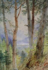 WALTON Elijah 1833-1880,Lac de Brien, as seen from the wood near ... black,Halls GB 2021-06-02