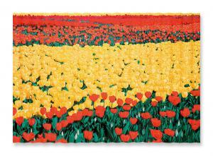 Wang Xingwei 1969,Sea of Flowers No. 1,2003,Sotheby's GB 2023-10-05