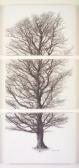 WANN Michael 1969,Mountain Tree II, three panels,Adams IE 2005-06-28