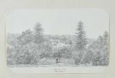 WARD Grace F 1900-1900,TOLLYMORE FOREST PARK,Ross's Auctioneers and values IE 2015-08-12