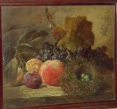 WARD James Charles 1830-1875,Black grapes, plums, a peach and a bird's nest on ,Bonhams 2004-06-29