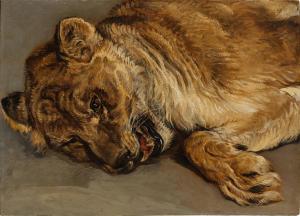 WARD James 1769-1859,Study of a Lioness,Sotheby's GB 2024-02-01