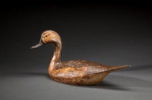 WARD L. Torry 1926-1990,Pintail Hen,Copley US 2014-07-25