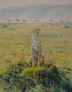 WARD Norman 1960,Cheetah in Maasai Mara,1997,Andrew Smith and Son GB 2013-09-10