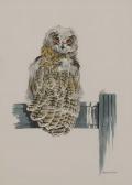 WARD Richard 1944,Long-eared owl,Sworders GB 2020-10-06