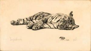 WARD Rowland 1800-1900,Impudence - Tiger,Christie's GB 1999-11-18