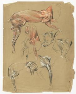 WARDLE Arthur 1864-1949,An Écorché,Bellmans Fine Art Auctioneers GB 2024-03-28