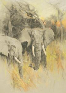 WARDLE Arthur 1864-1949,Elephants in the bush at sunset,Bellmans Fine Art Auctioneers GB 2024-03-28