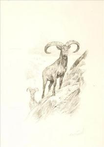 WARDLE Arthur 1864-1949,Mountain goat,Dreweatt-Neate GB 2009-04-07