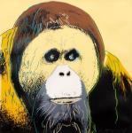 WARHOL Andy 1928-1987,Orangutan, from 'Endangered Species',1983,Mallet JP 2023-03-02