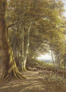 WARREN Edmund George 1834-1909,Sheep grazing at the edge of a Beech Wood,1870,Christie's 2003-09-03