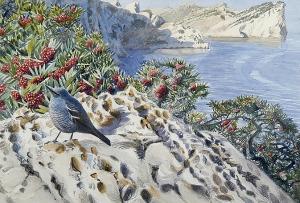 WARREN Michael 1938,a small bird at the cliff's edge with red berries,Bonhams GB 2005-12-20