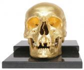 WARREYN SONIA 1945,'Homm/age' Human skull,Bernaerts BE 2010-03-29