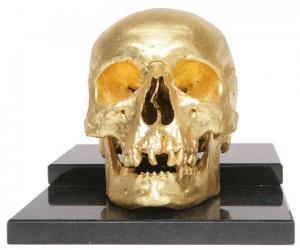 WARREYN SONIA 1945,'Homm/age' Human skull,Bernaerts BE 2010-03-29