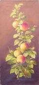 WASHINGTON A.B 1800-1900,BRANCH WITH APPLES,1910,William Doyle US 2003-06-18