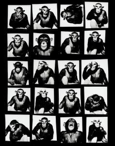 WATSON Albert 1942,Monkey with Mask Contact Sheet,1994,Bonhams GB 2024-04-05
