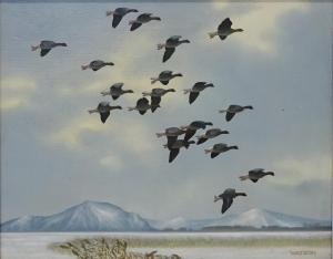 WATSON Christopher,Pink Footed Geese Gliding in,David Duggleby Limited GB 2017-06-03