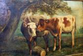 WATSON E 1800-1800,Cattle Study,Dreweatt-Neate GB 2010-08-19