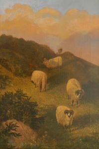 WATSON H,Sheep in Highlands,Rachel Davis US 2016-12-11