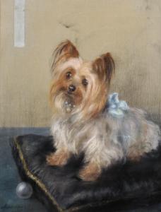 WATSON Maud West,A Yorkshire Terrier with a Blue Bow resting on a C,John Nicholson 2018-12-19
