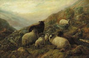 WATSON Robert F 1845-1917,Highland sheep,Christie's GB 2000-10-26