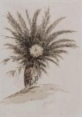 WATSON Thomas Boswall, Dr 1815-1860,Study of a palm tree,Mallams GB 2016-07-14